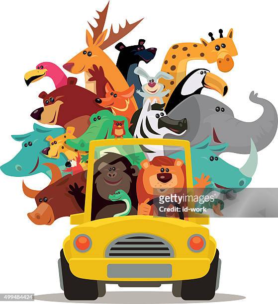 lion and friends driving - animal wildlife stock illustrations
