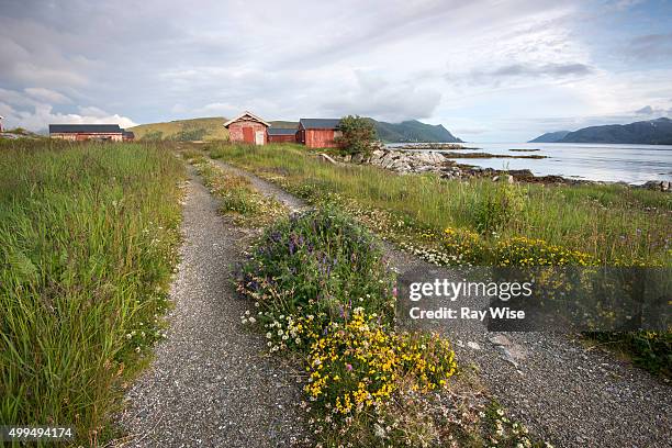 fishing hut sunset - cabin norway stock pictures, royalty-free photos & images