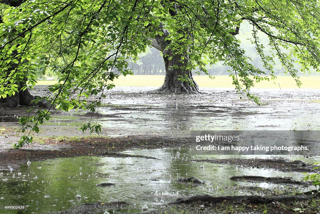 Heavy rain