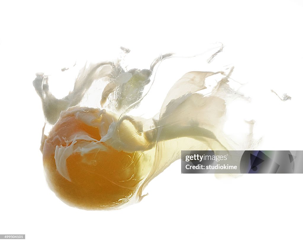 Egg underwater on white background