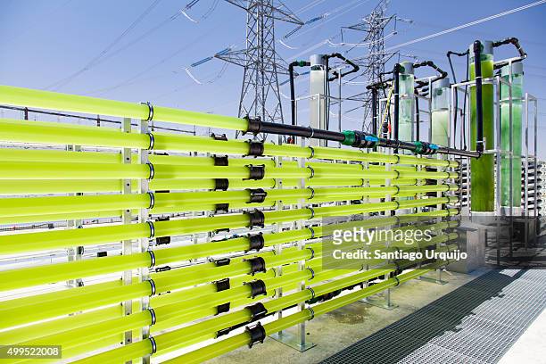 tubular bioreactors filled with green algae fixing co2 - carbon capture stock pictures, royalty-free photos & images