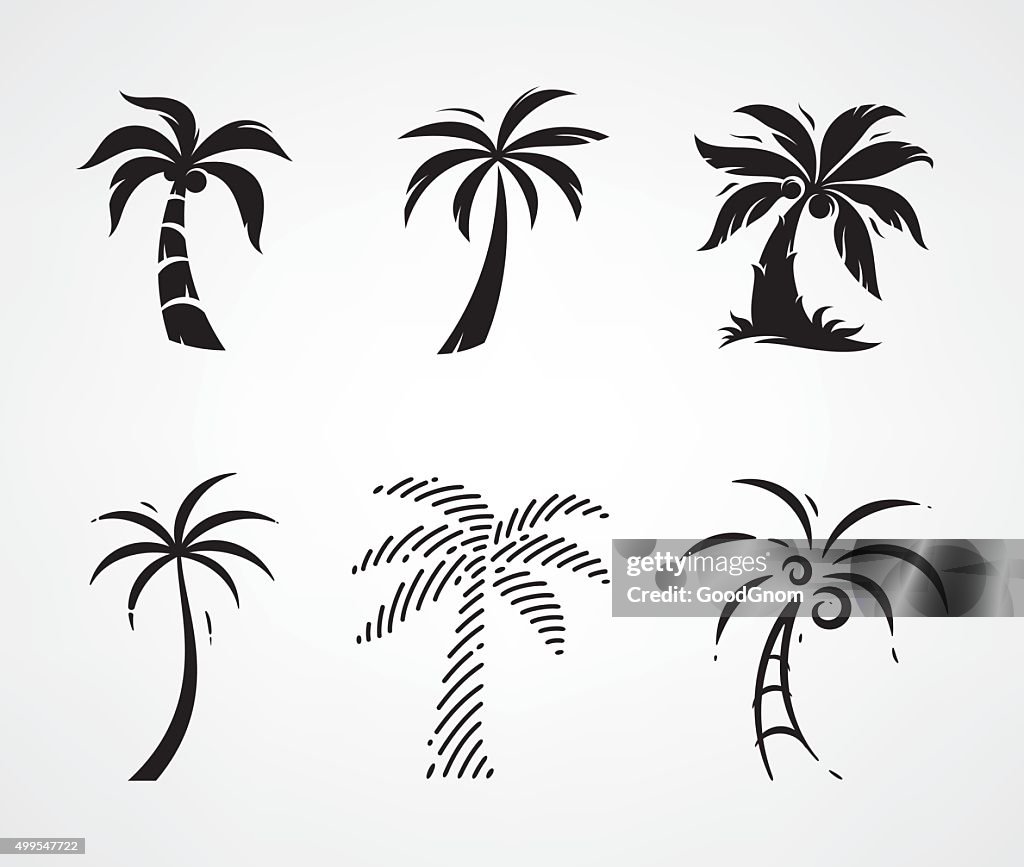 Palm tree