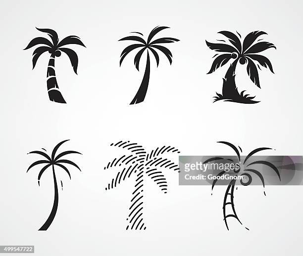 palm tree - coconut icon stock illustrations