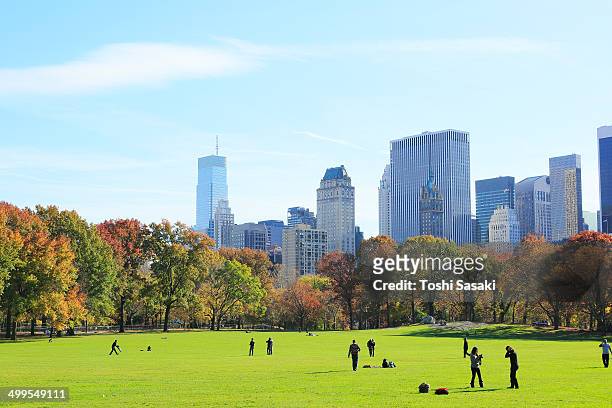 autumn color trees and skyscraper at sheep meadow. - new york basks in sunny indian summer day stock-fotos und bilder