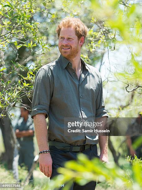 Prince Harry looks on as he visits the Southern African Wildlife College, a flagship centre close to Kruger National Park, during an official visit...