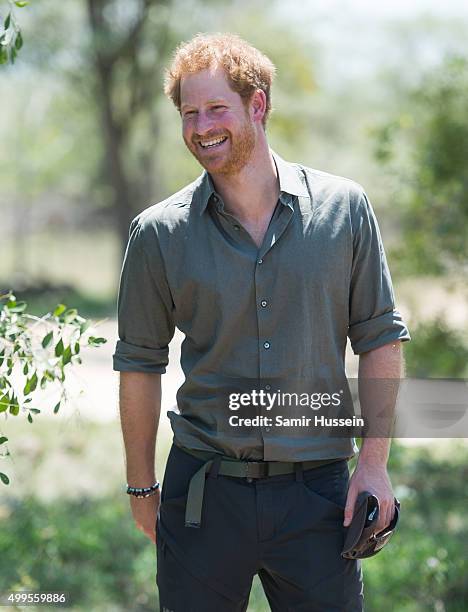 Prince Harry smiles he visits the Southern African Wildlife College, a flagship centre close to Kruger National Park, during an official visit to...