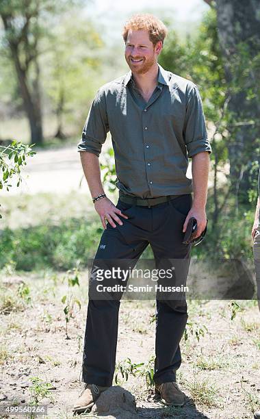 Prince Harry smiles he visits the Southern African Wildlife College, a flagship centre close to Kruger National Park, during an official visit to...