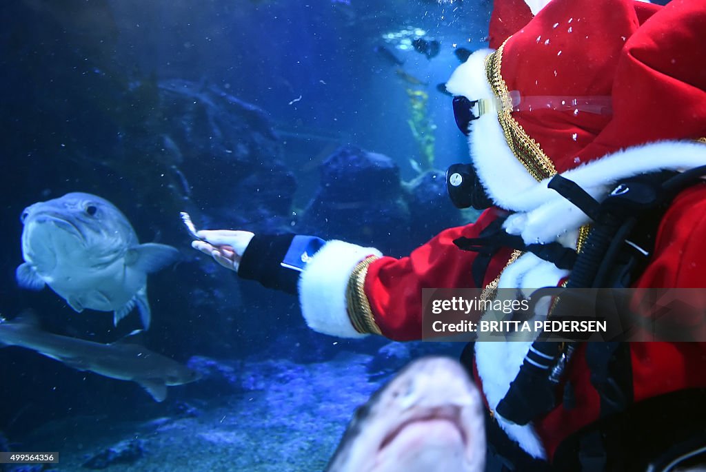 GERMANY-SANTA CLAUS-AQUARIUM