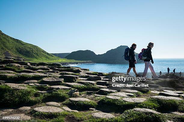 giant's causeway in northern ireland - northern ireland stock pictures, royalty-free photos & images
