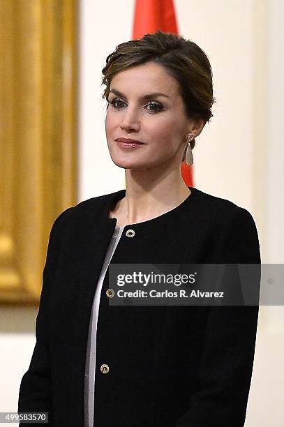 Queen Letizia of Spain attends the Gold Medals of Merit in Fine Arts 2014 ceremony at the Bellas Artes Museum on December 2, 2015 in Seville, Spain.