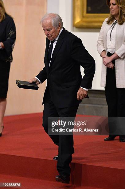 Spanish bullfigther Manuel Benitez "El Cordobes" attends the Gold Medals of Merit in Fine Arts 2014 ceremony at the Bellas Artes Museum on December...