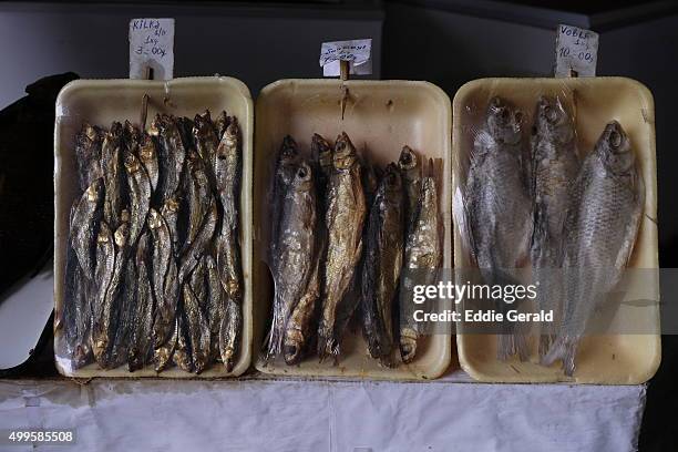 fish for sale in azerbaijan - azerbaijan food stock pictures, royalty-free photos & images