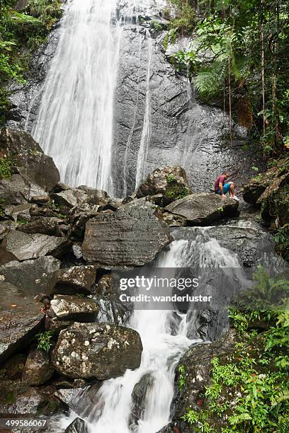 El Yunque Rocks Color 69 El Yunque Waterfalls Stock Photos, High-Res Pictures, and Images ...