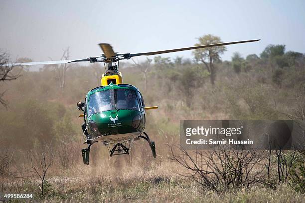 Prince Harry arrives by helicoptor to view the carcass of a rhino slaughtered for its horn in Kruger National Park, during an official visit to...