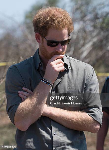 Prince Harry is shown the carcass of a rhino slaughtered for its horn in Kruger National Park, during an official visit to Africa on December 2, 2015...