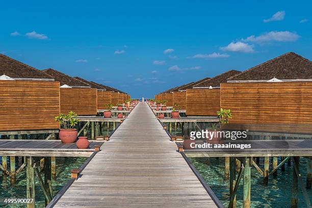 maldives boardwalk - meeru island stockfoto's en -beelden