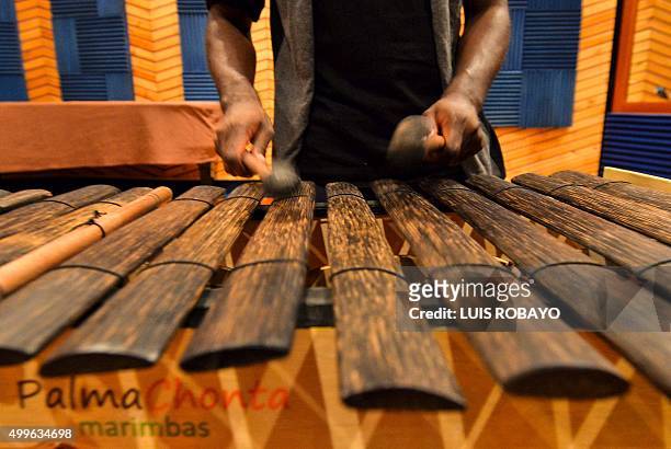 Colombian musician Enrique Riascos, of the Herencia de Timbiqui music band, plays the Marimba de Chonta, , in a recording studio in Cali, Colombia,...