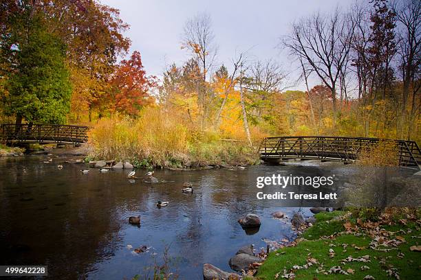 scenic landscape with two bridges - kalamazoo stock-fotos und bilder