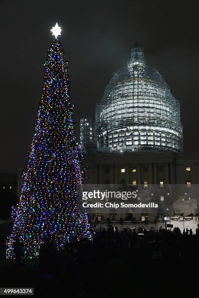 The Capitol Christmas tree is shown lighted during a ceremony on the west front of the U.S. Capitol December 2, 2015 in Washington, DC. This year's...