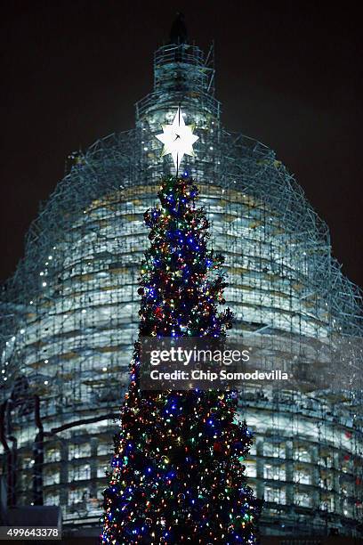 The Capitol Christmas tree is shown lighted during a ceremony on the west front of the U.S. Capitol December 2, 2015 in Washington, DC. This year's...