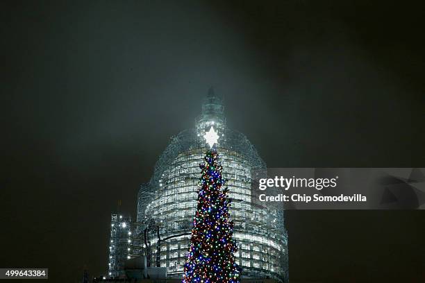 The Capitol Christmas tree is shown lighted during a ceremony on the west front of the U.S. Capitol December 2, 2015 in Washington, DC. This year's...