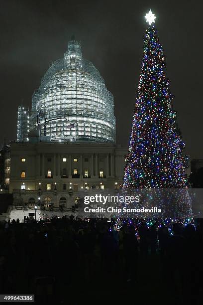 The Capitol Christmas tree is shown lighted during a ceremony on the west front of the U.S. Capitol December 2, 2015 in Washington, DC. This year's...