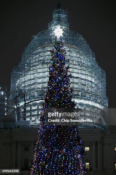 The Capitol Christmas tree is shown lighted during a ceremony on the west front of the U.S. Capitol December 2, 2015 in Washington, DC. This year's...