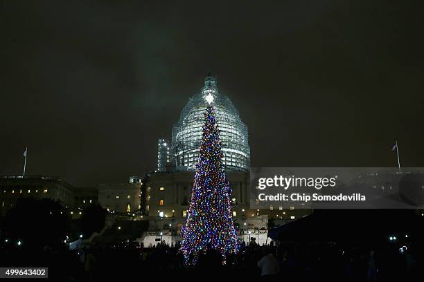 The Capitol Christmas tree is shown lighted during a ceremony on the west front of the U.S. Capitol December 2, 2015 in Washington, DC. This year's...