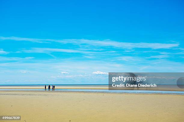 tidal flats of cape cod - low tide stock pictures, royalty-free photos & images