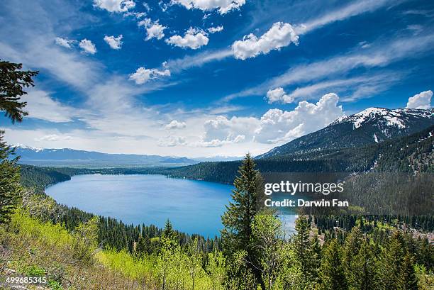 phelps lake - grand teton national park - grand teton bildbanksfoton och bilder