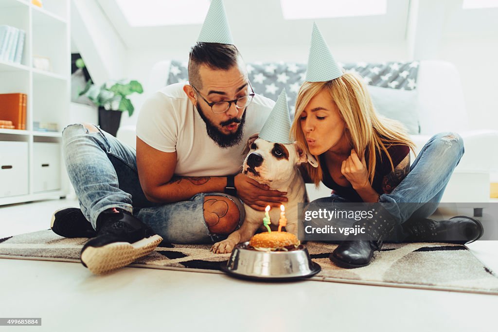 Perro fiesta de cumpleaños.