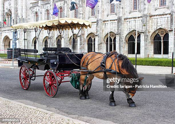 horsedrawn carriage, lisbon - animal harness stock pictures, royalty-free photos & images