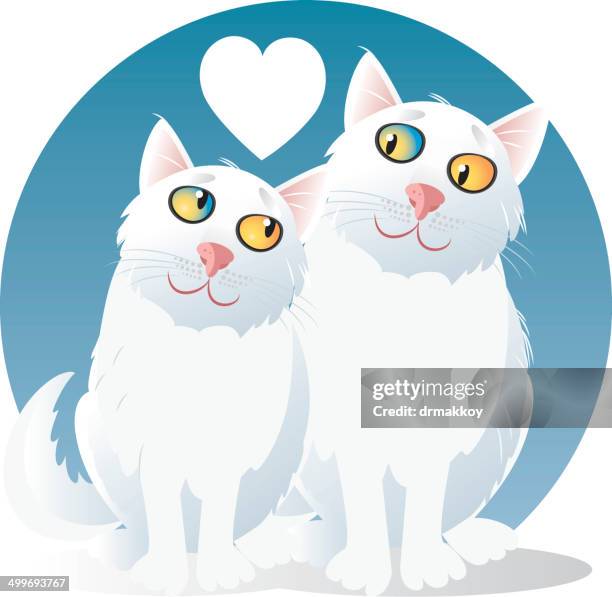 cats - turkish angora stock illustrations