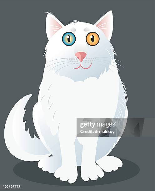 cats - turkish angora stock illustrations