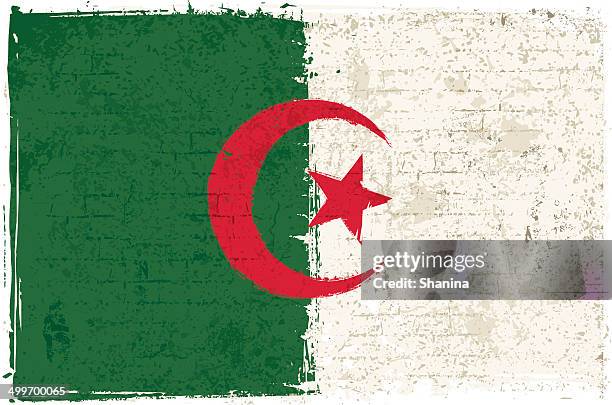 flag of algeria on wall - white bricks texture stock illustrations