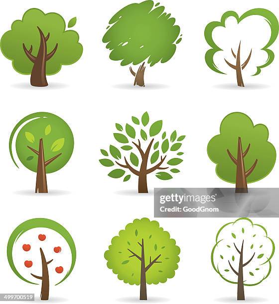 Icon Knowledgetree 329 Tree Of Knowledge Icon High Res Illustrations - Getty Images