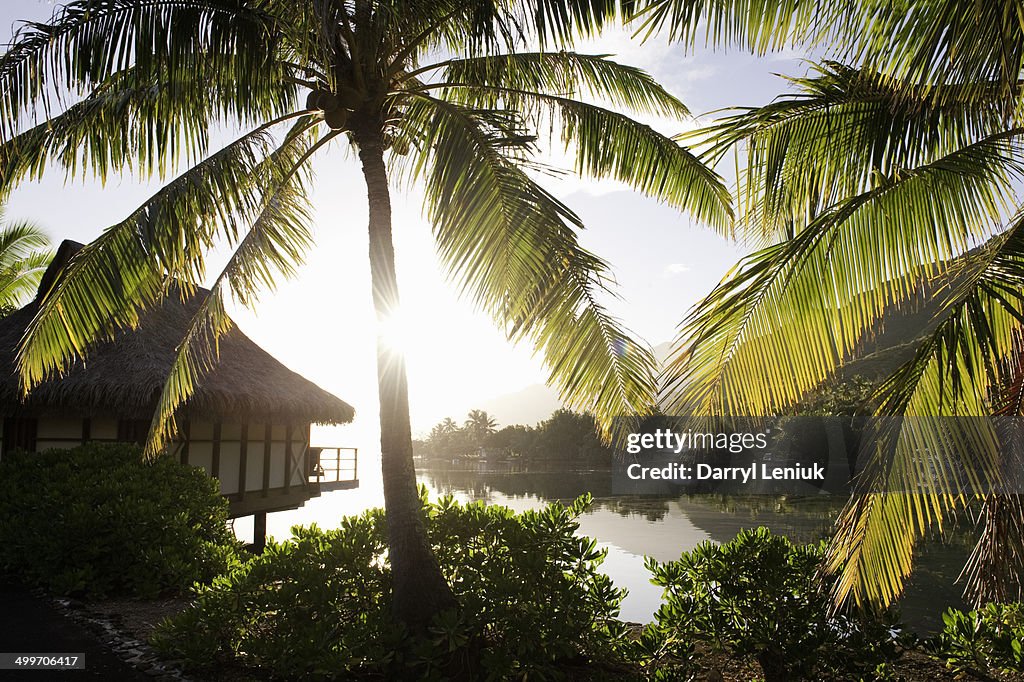 Tropical resort, Moorea, Tahiti