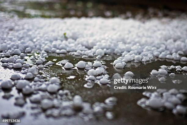 after a hailstorm - hagelschauer stock-fotos und bilder