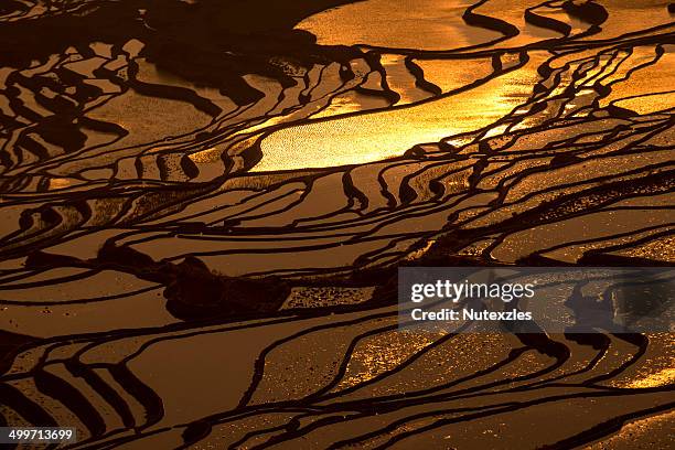 yuanyang county, yunnan - yuanyang stock pictures, royalty-free photos & images