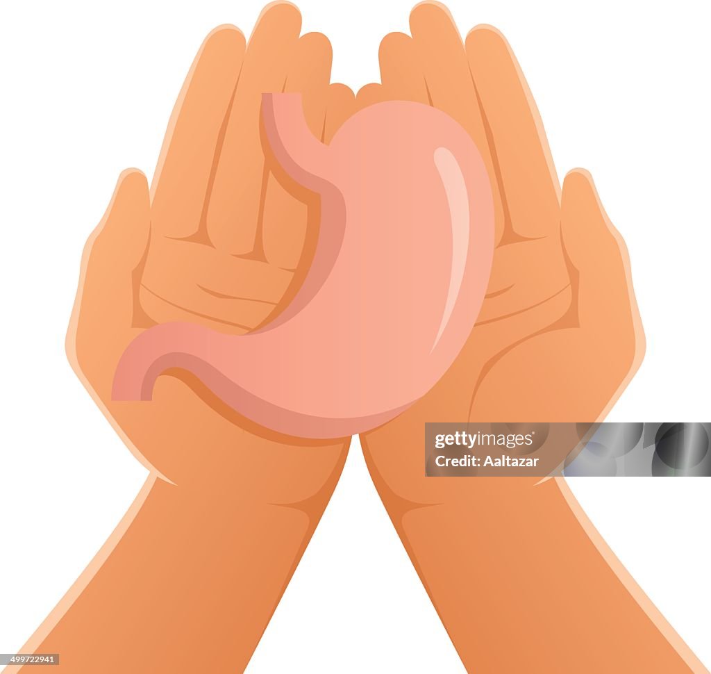 Mains tenant le ventre humain