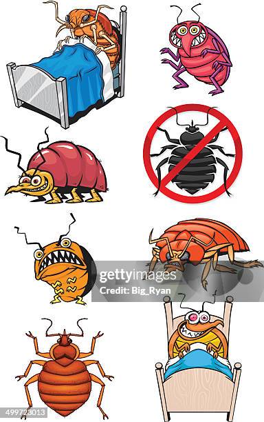 käfer-bett - tick animal stock-grafiken, -clipart, -cartoons und -symbole