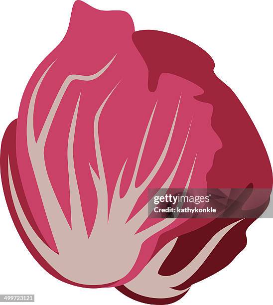 radicchio - radicchio stock illustrations