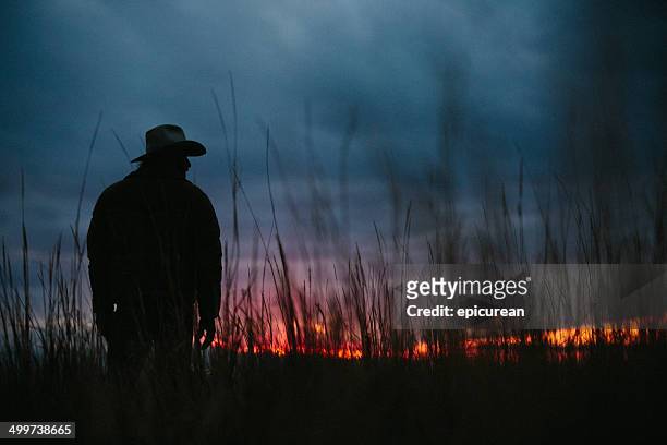 silhouette di cowboy su vista al crepuscolo - cowboy sillouette foto e immagini stock
