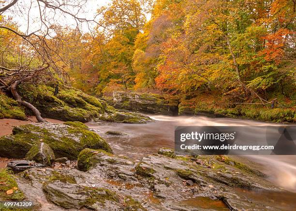Roe Rivver Roe Valley Country Park - Fotografias e Filmes do Acervo - Getty Images