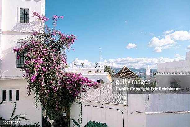 flowers grow on an old building in tangier, morocco - tangier stock pictures, royalty-free photos & images