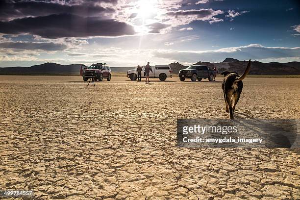 wüstenlandschaft film-crew und hund - dokumentation stock-fotos und bilder