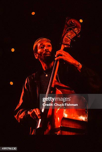 American Jazz musician Ron Carter plays upright acoustic bass at the Kool Jazz Festival , 1981.