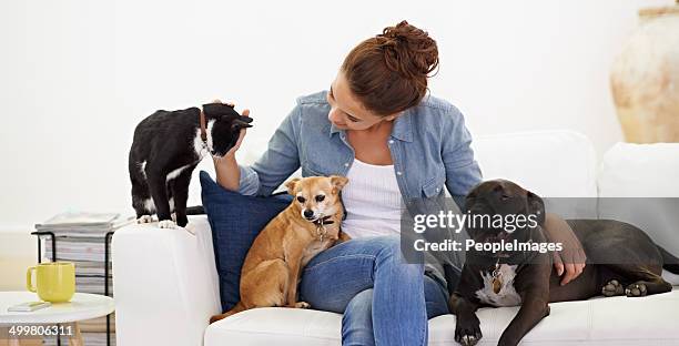 she simply loves animals! - drie dieren stockfoto's en -beelden