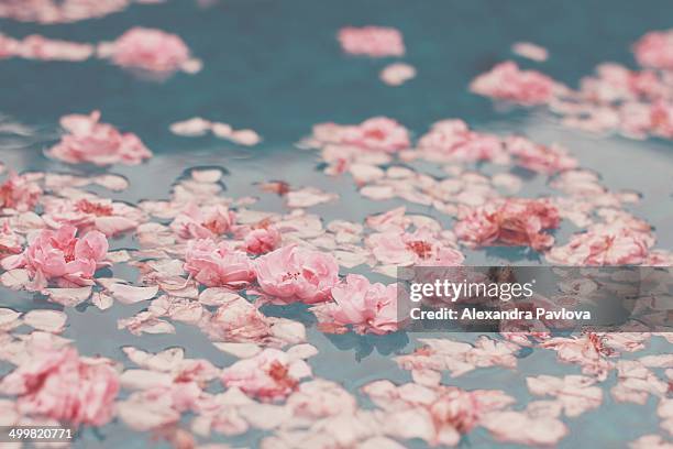 Floating Roses Photos and Premium High Res Pictures - Getty Images