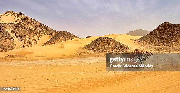 arakao, - tenere desert stockfoto's en -beelden